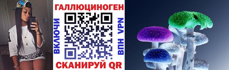 где купить наркоту  Оренбург  Псилоцибиновые грибы прущие грибы 
