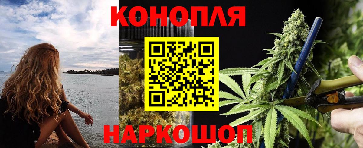 Бошки Шишки гибрид Оренбург